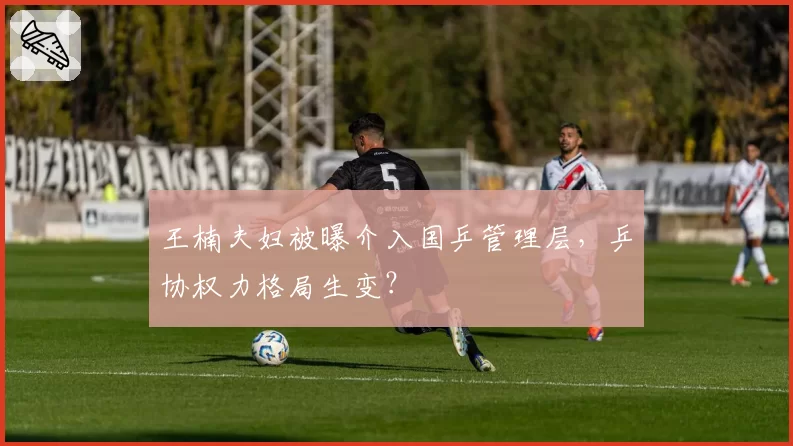 王楠夫妇被曝介入国乒管理层，乒协权力格局生变？