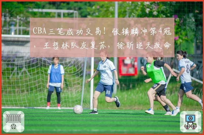 CBA三笔成功交易！张镇麟冲第4冠，王哲林队友复苏，徐昕逆天改命