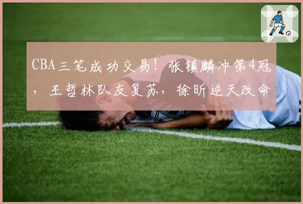 CBA三笔成功交易！张镇麟冲第4冠，王哲林队友复苏，徐昕逆天改命