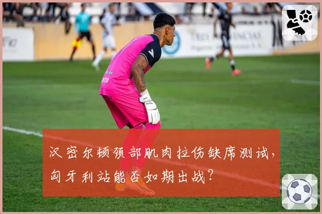 汉密尔顿颈部肌肉拉伤缺席测试，匈牙利站能否如期出战？