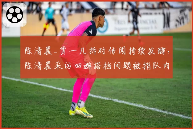 陈清晨_贾一凡拆对传闻持续发酵,陈清晨采访回避搭档问题被指队内失和