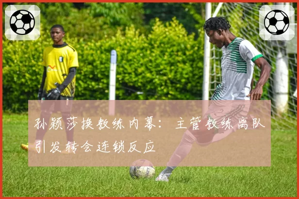 孙颖莎换教练内幕：主管教练离队引发转会连锁反应