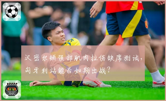 汉密尔顿颈部肌肉拉伤缺席测试，匈牙利站能否如期出战？