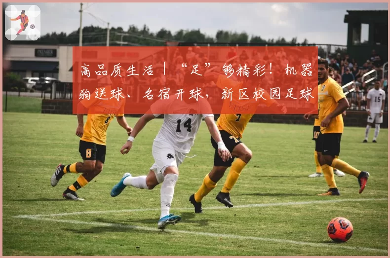 高品质生活｜“足”够精彩！机器狗送球、名宿开球，新区校园足球“四级联赛”开战